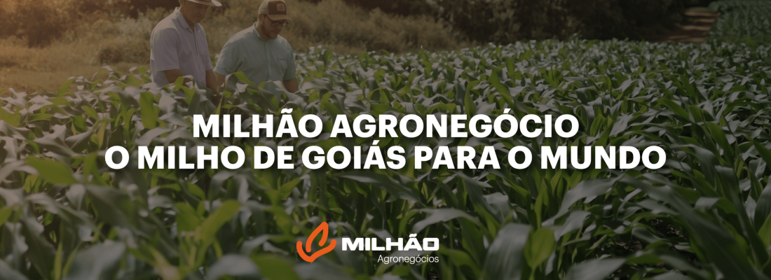 MILHAO CAPA